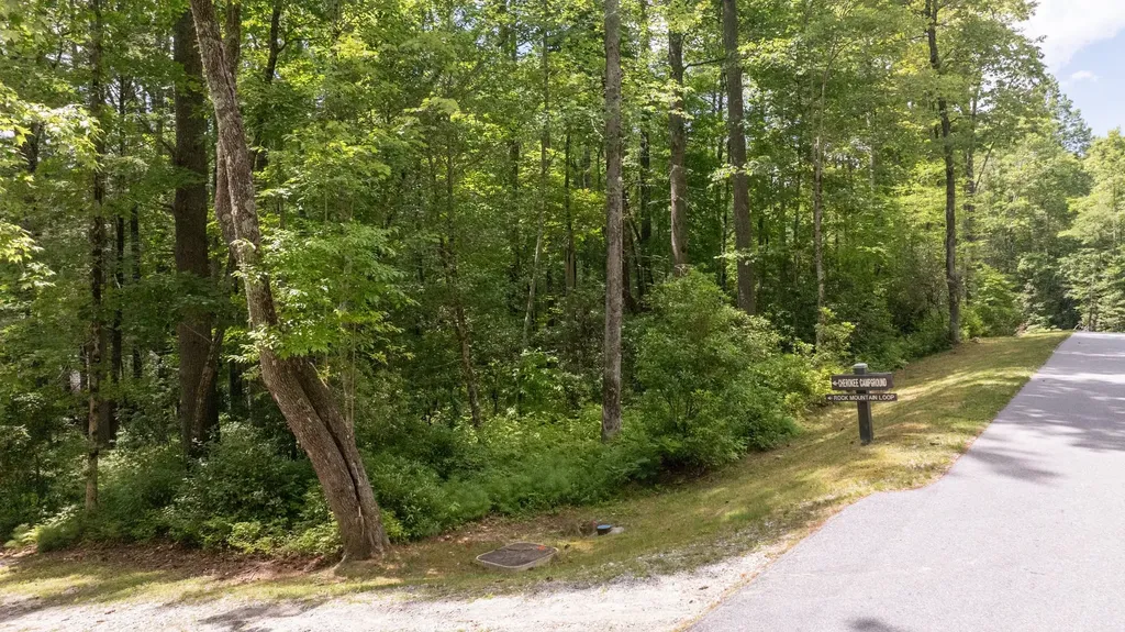 98 Caroline Lane Cashiers NC 28717