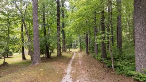 98 Caroline Lane Cashiers NC 28717
