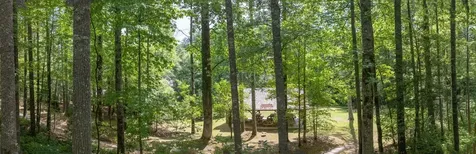 98 Caroline Lane Cashiers NC 28717