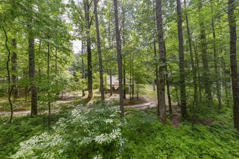 98 Caroline Lane Cashiers NC 28717