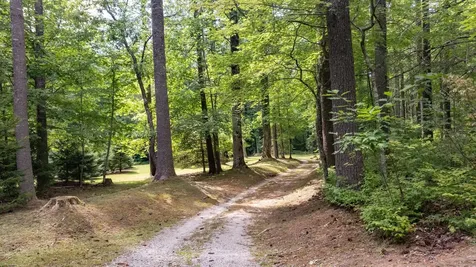 98 Caroline Lane Cashiers NC 28717