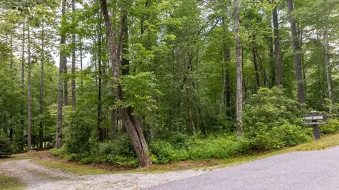 98 Caroline Lane Cashiers NC 28717
