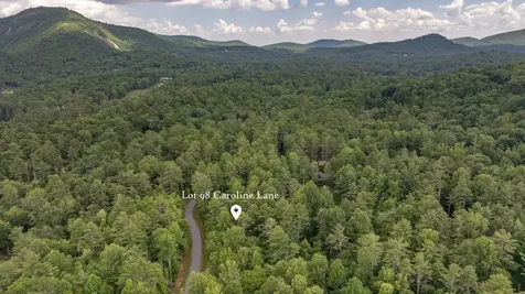 98 Caroline Lane Cashiers NC 28717