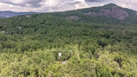 98 Caroline Lane Cashiers NC 28717