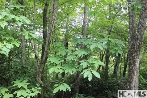 PH1 L4 Whitewater Ridge Road Sapphire NC 28774