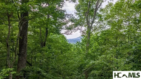 Lot 18 Orchard Way Sapphire NC 28774