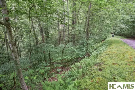 Lot 18 Orchard Way Sapphire NC 28774
