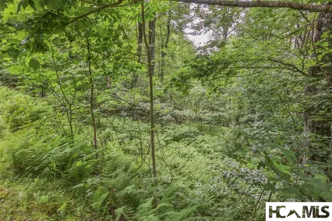 Lot 18 Orchard Way Sapphire NC 28774