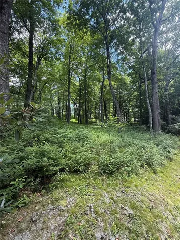 Lot 9 Apple Mountain Lane Highlands NC 28741