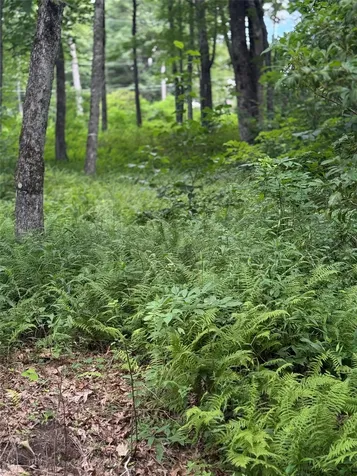 Lot 9 Apple Mountain Lane Highlands NC 28741