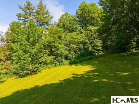 7219 Dillard Road Scaly Mountain NC 28775