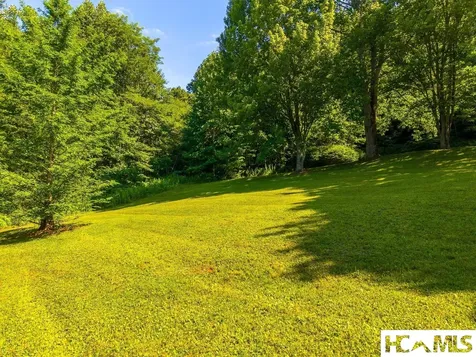 7219 Dillard Road Scaly Mountain NC 28775