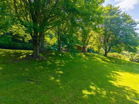 7219 Dillard Road Scaly Mountain NC 28775