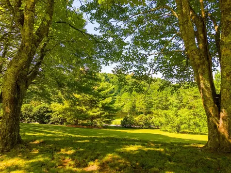 7219 Dillard Road Scaly Mountain NC 28775
