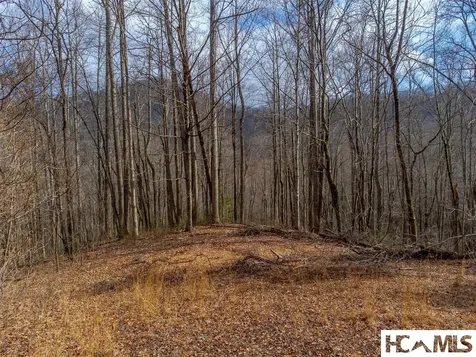 1241* Henry Road Franklin NC 28734