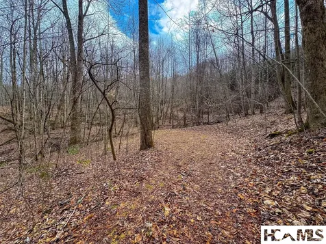 1241* Henry Road Franklin NC 28734