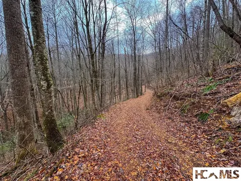 1241* Henry Road Franklin NC 28734