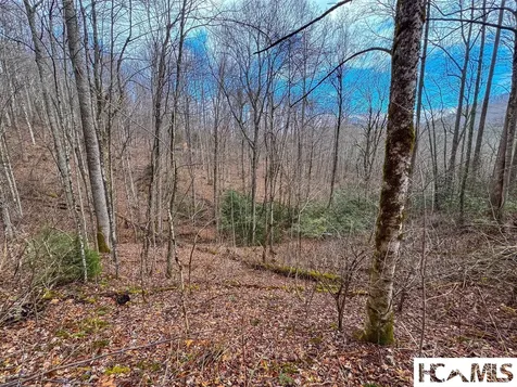 1241* Henry Road Franklin NC 28734