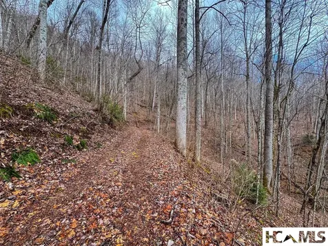 1241* Henry Road Franklin NC 28734