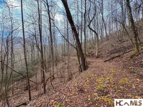 1241* Henry Road Franklin NC 28734