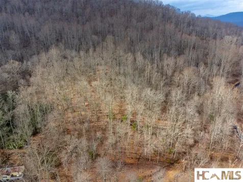 1241* Henry Road Franklin NC 28734