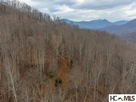 1241* Henry Road Franklin NC 28734