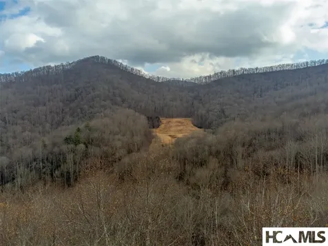 1241* Henry Road Franklin NC 28734