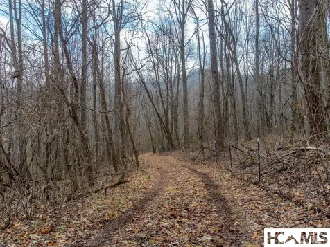 1241* Henry Road Franklin NC 28734