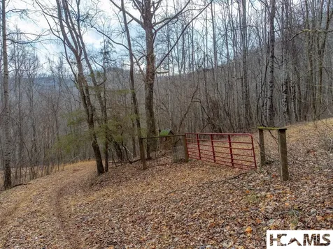 1241* Henry Road Franklin NC 28734