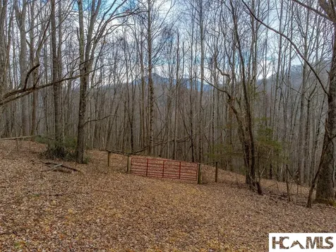 1241* Henry Road Franklin NC 28734