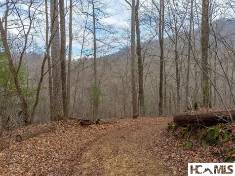 1241* Henry Road Franklin NC 28734