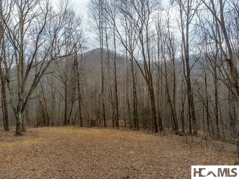 1241* Henry Road Franklin NC 28734