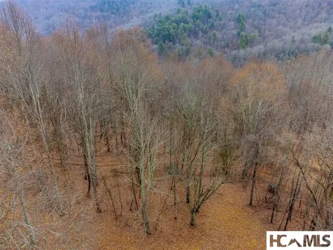 1241* Henry Road Franklin NC 28734