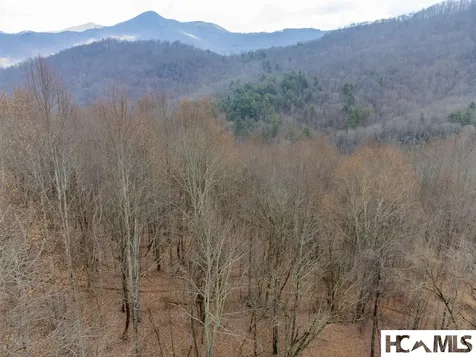 1241* Henry Road Franklin NC 28734