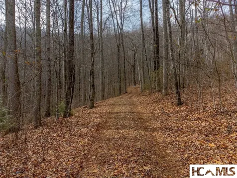 1241* Henry Road Franklin NC 28734