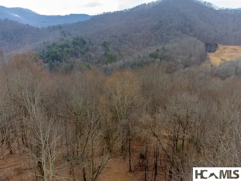 1241* Henry Road Franklin NC 28734