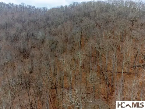 1241* Henry Road Franklin NC 28734