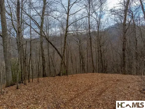 1241* Henry Road Franklin NC 28734