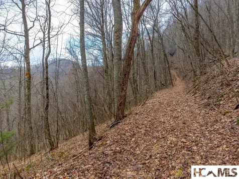 1241* Henry Road Franklin NC 28734