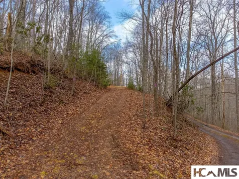 1241* Henry Road Franklin NC 28734