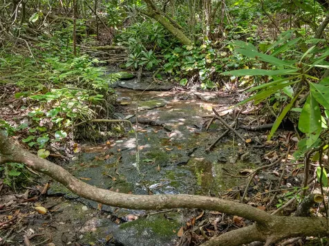 Lot 42 Panthertown Drive Lake Toxaway NC 28747