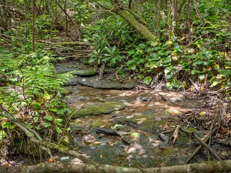 Lot 42 Panthertown Drive Lake Toxaway NC 28747
