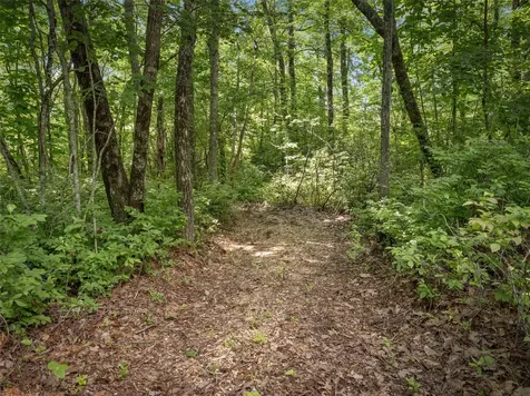 Lot 42 Panthertown Drive Lake Toxaway NC 28747