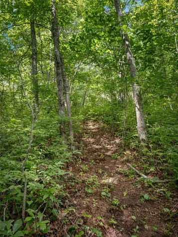 Lot 42 Panthertown Drive Lake Toxaway NC 28747