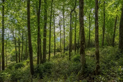 114R Toxaway Drive Lake Toxaway NC 28747