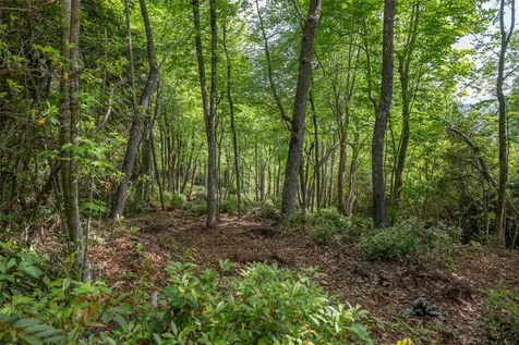 114R Toxaway Drive Lake Toxaway NC 28747