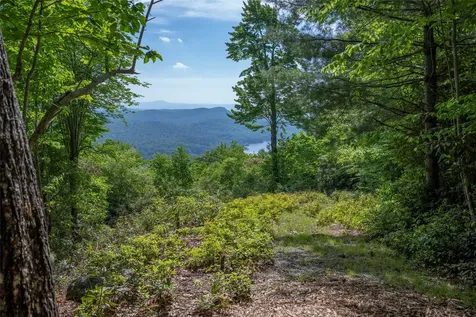 114R Toxaway Drive Lake Toxaway NC 28747