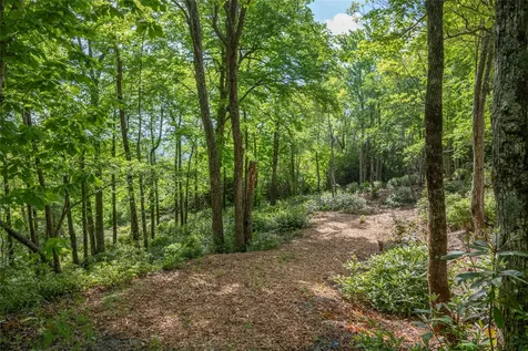 114R Toxaway Drive Lake Toxaway NC 28747