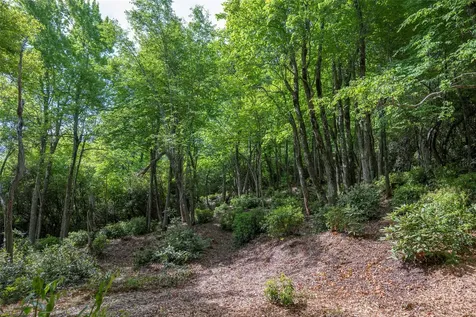 114R Toxaway Drive Lake Toxaway NC 28747