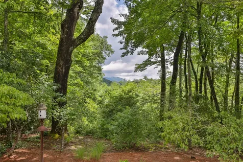 166 Upper Ridge Road Cashiers NC 28717